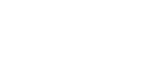 Seedz Brewery 