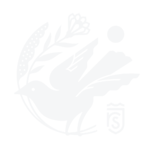 River Saint Joe Logo